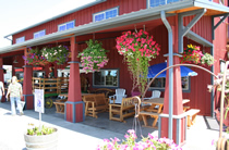storeFront